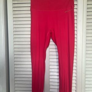 Whitney Simmons Gym Shark Leggings